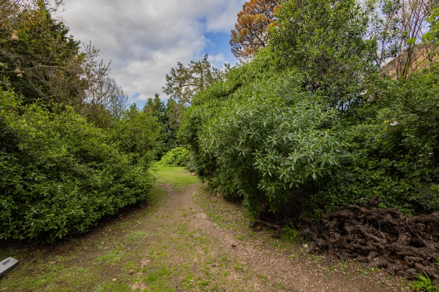 6 Bedroom Property for Sale in Vierlanden Western Cape